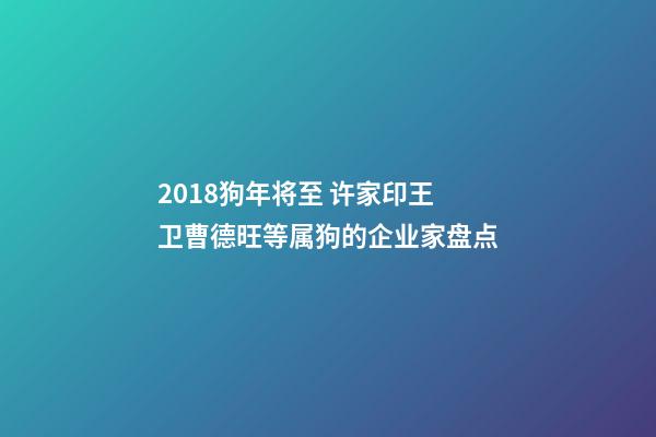 2018狗年将至 许家印王卫曹德旺等属狗的企业家盘点-第1张-观点-玄机派